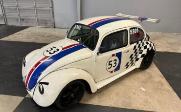 Unknown-Beetle-1969-White-Black-Gray-45