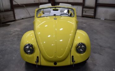 Unknown-Beetle-1969-Yellow-White-19