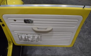 Unknown-Beetle-1969-Yellow-White-2