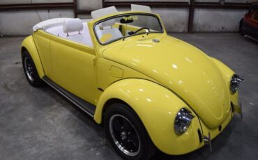 Unknown-Beetle-1969-Yellow-White-21