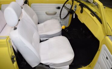 Unknown-Beetle-1969-Yellow-White-3