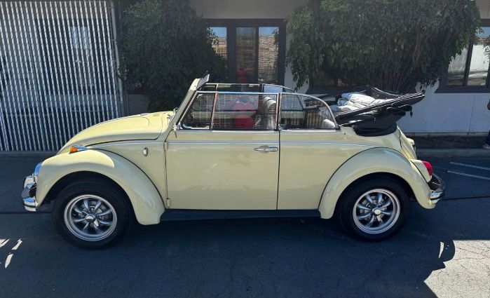 Unknown-Beetle-1969