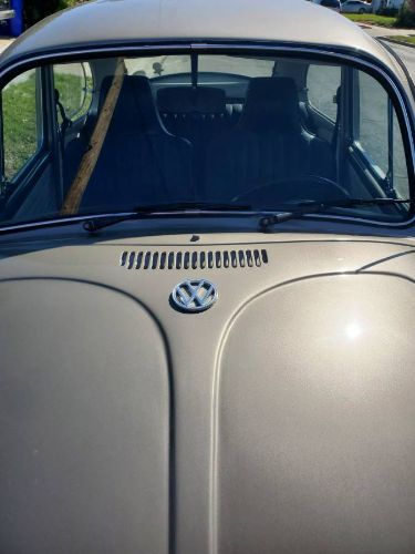 Unknown-Beetle-1970-3