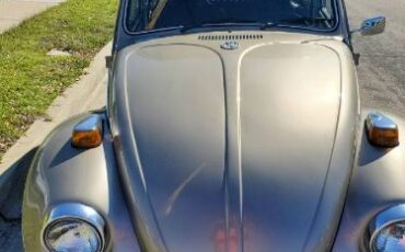 Unknown-Beetle-1970