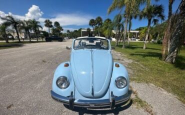 Unknown-Beetle-1970-Blue-1