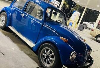 Unknown-Beetle-1970-Blue-1