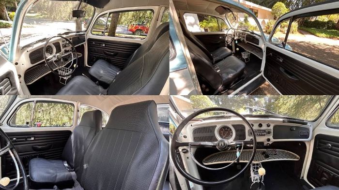 Unknown-Beetle-1970-Blue-1