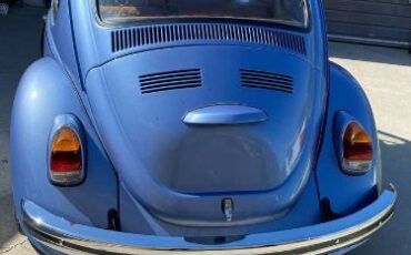 Unknown-Beetle-1970-Blue-10
