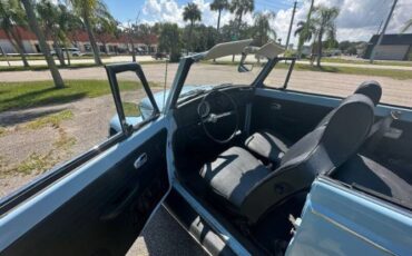 Unknown-Beetle-1970-Blue-10