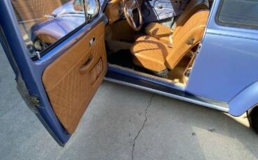 Unknown-Beetle-1970-Blue-11