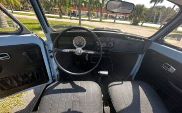 Unknown-Beetle-1970-Blue-12