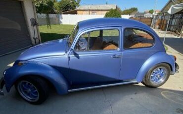 Unknown-Beetle-1970-Blue-13