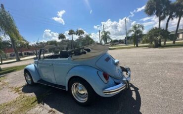 Unknown-Beetle-1970-Blue-13