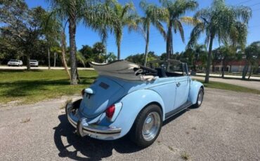 Unknown-Beetle-1970-Blue-15