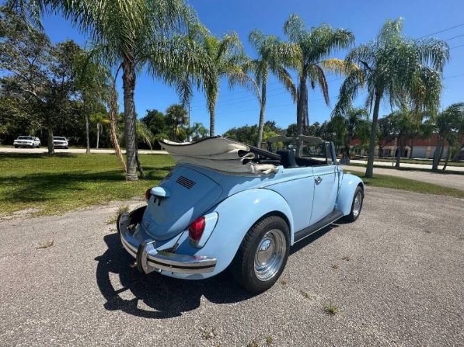 Unknown-Beetle-1970-Blue-15