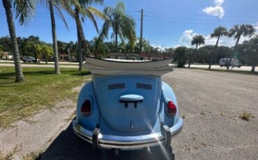 Unknown-Beetle-1970-Blue-16