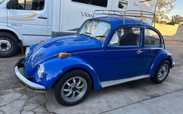 Unknown-Beetle-1970-Blue