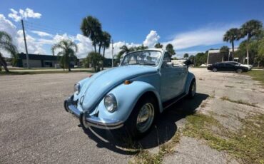 Unknown-Beetle-1970-Blue-2