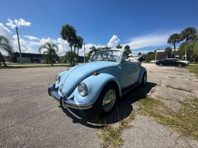 Unknown-Beetle-1970-Blue-2