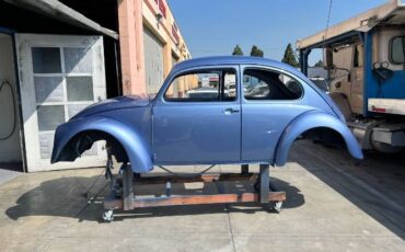 Unknown-Beetle-1970-Blue-2