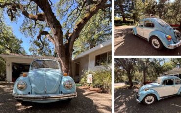 Unknown-Beetle-1970-Blue-2