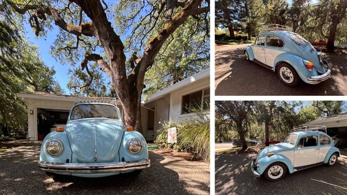 Unknown-Beetle-1970-Blue-2