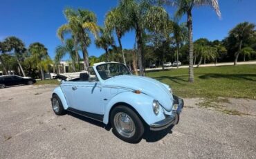 Unknown-Beetle-1970-Blue-3