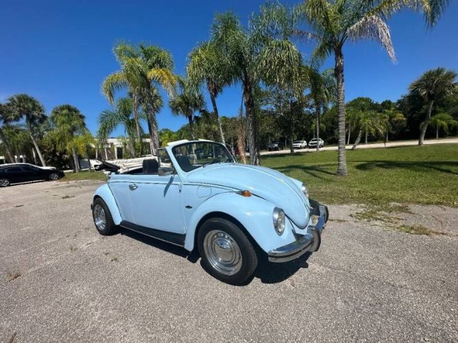 Unknown-Beetle-1970-Blue-3