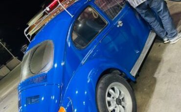 Unknown-Beetle-1970-Blue-3
