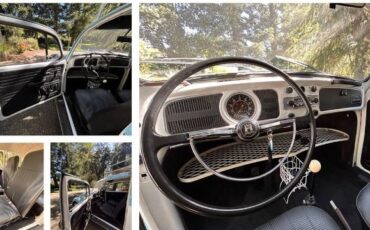Unknown-Beetle-1970-Blue-3