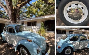Unknown-Beetle-1970-Blue-4