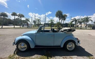 Unknown-Beetle-1970-Blue-5