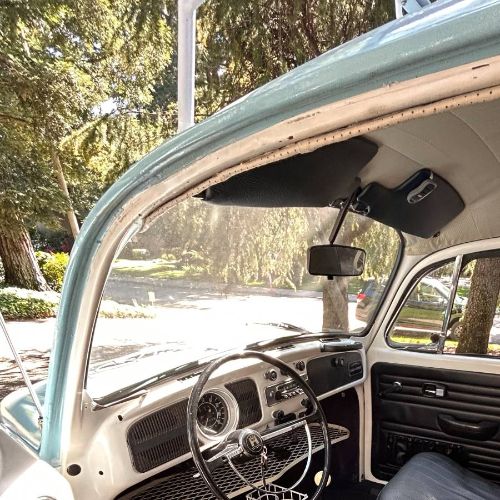 Unknown-Beetle-1970-Blue-5