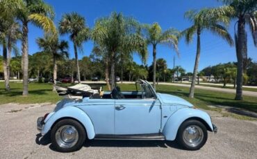 Unknown-Beetle-1970-Blue-6