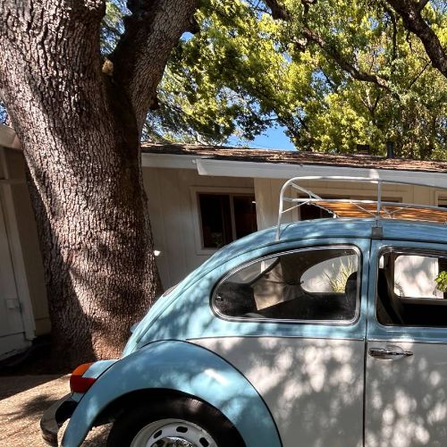 Unknown-Beetle-1970-Blue-6