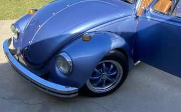 Unknown-Beetle-1970-Blue-7