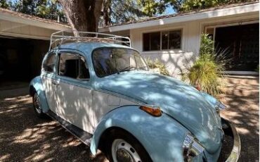 Unknown-Beetle-1970-Blue-7