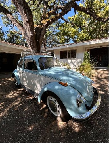 Unknown-Beetle-1970-Blue-7