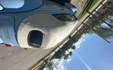 Unknown-Beetle-1970-Blue-8
