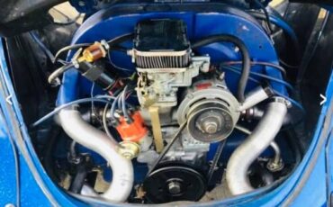 Unknown-Beetle-1970-Blue-8