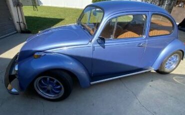 Unknown-Beetle-1970-Blue-8