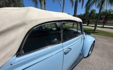 Unknown-Beetle-1970-Blue-9