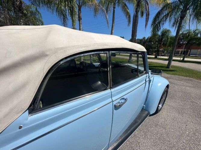 Unknown-Beetle-1970-Blue-9