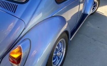 Unknown-Beetle-1970-Blue-9