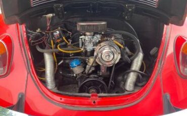 Unknown-Beetle-1970-Red-11