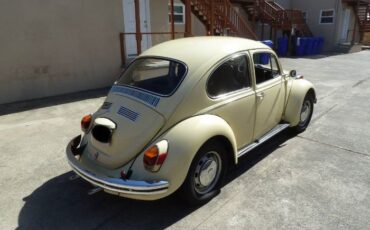 Unknown-Beetle-1970-YellowBlack-1