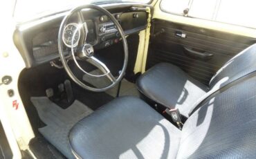 Unknown-Beetle-1970-YellowBlack-15