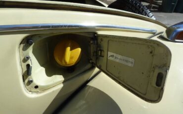 Unknown-Beetle-1970-YellowBlack-16