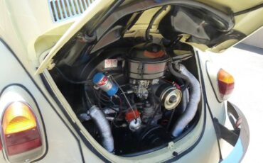 Unknown-Beetle-1970-YellowBlack-18