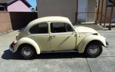 Unknown-Beetle-1970-YellowBlack-19